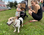 Festiwal Osnowa 2024 - Kapela Hałasów